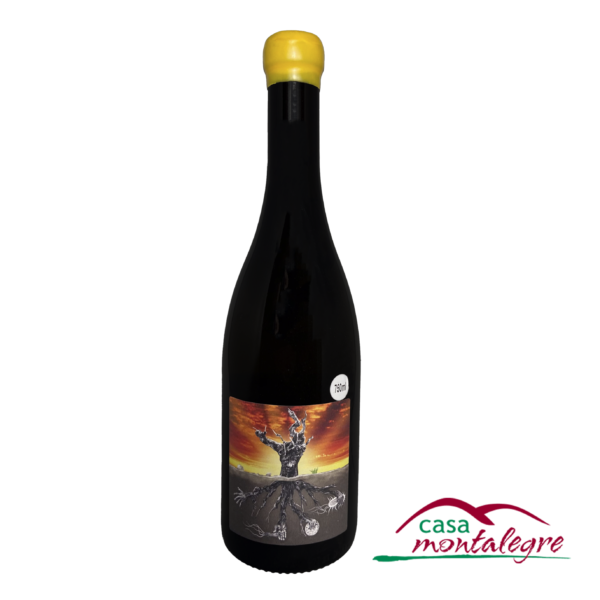 Vinho MicroBio Verdejo