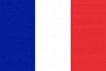 Bandeira da França: origem, significado das cores e história - Toda Matéria